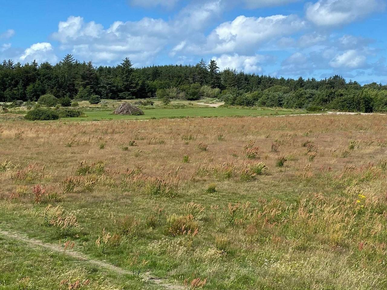 Luxurioses Refugium in Gronhoj in Løkken, Hjørring und Umgebung