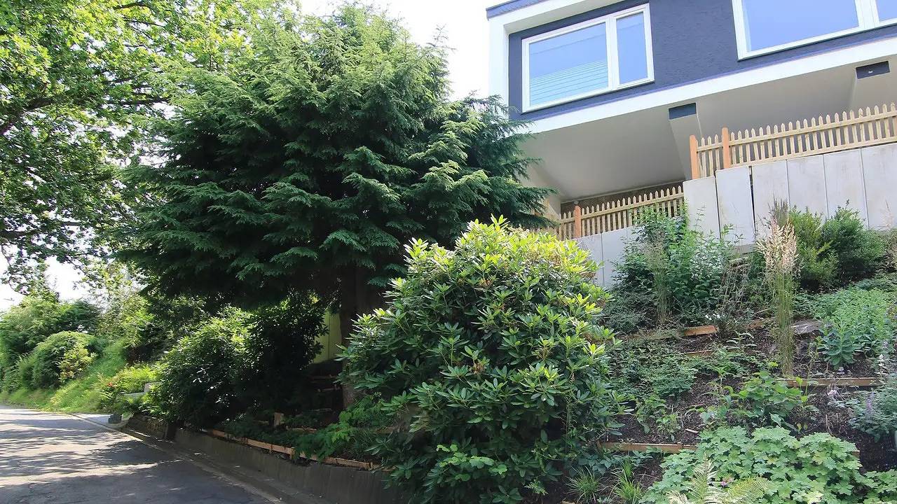 Ganze Ferienwohnung, Ferienwohnung für 4 Personen (80 m²) in Schleiden in Schleiden, Rureifel (Nordrhein-westfalen)