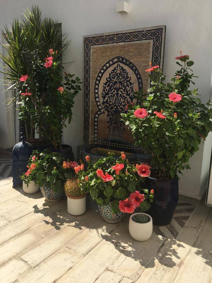 Casa de férias para 2 pessoas, com terraço em Lagoa