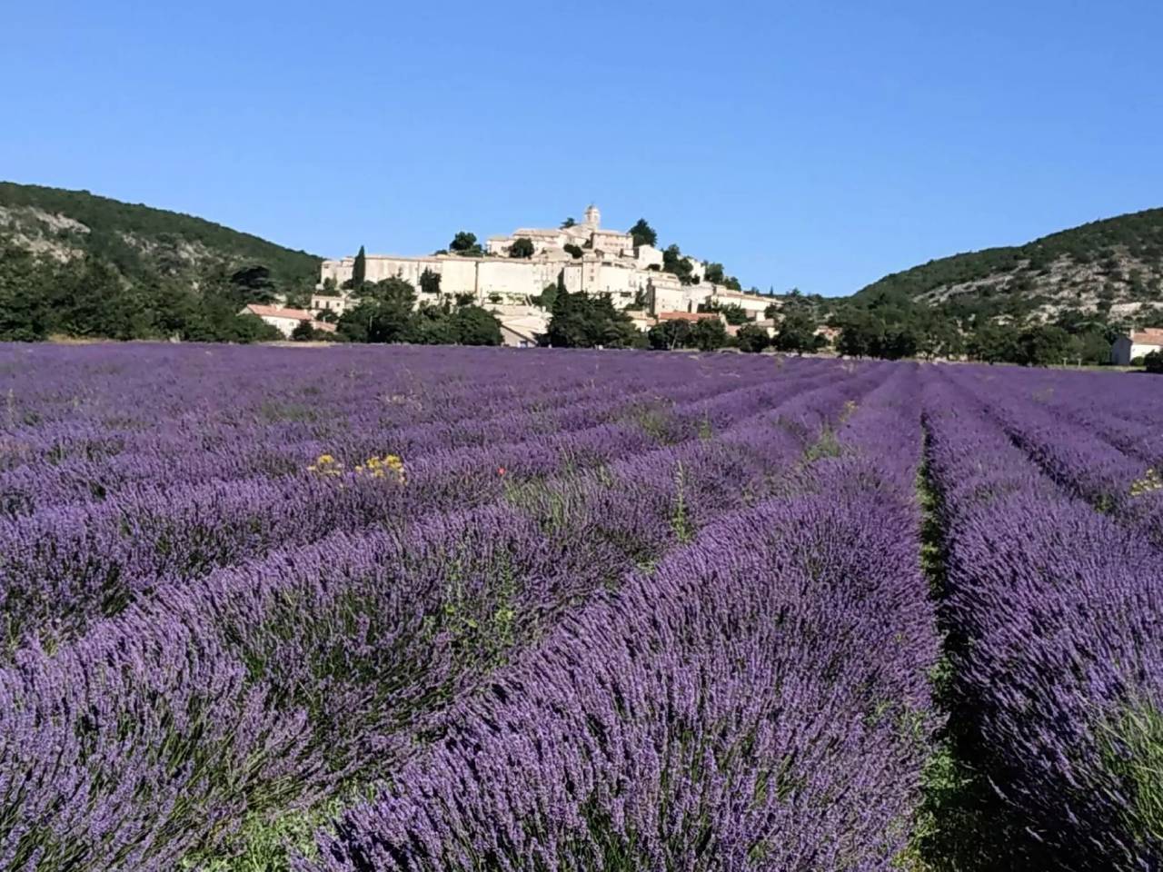 6 personas in Banon, Forcalquier region