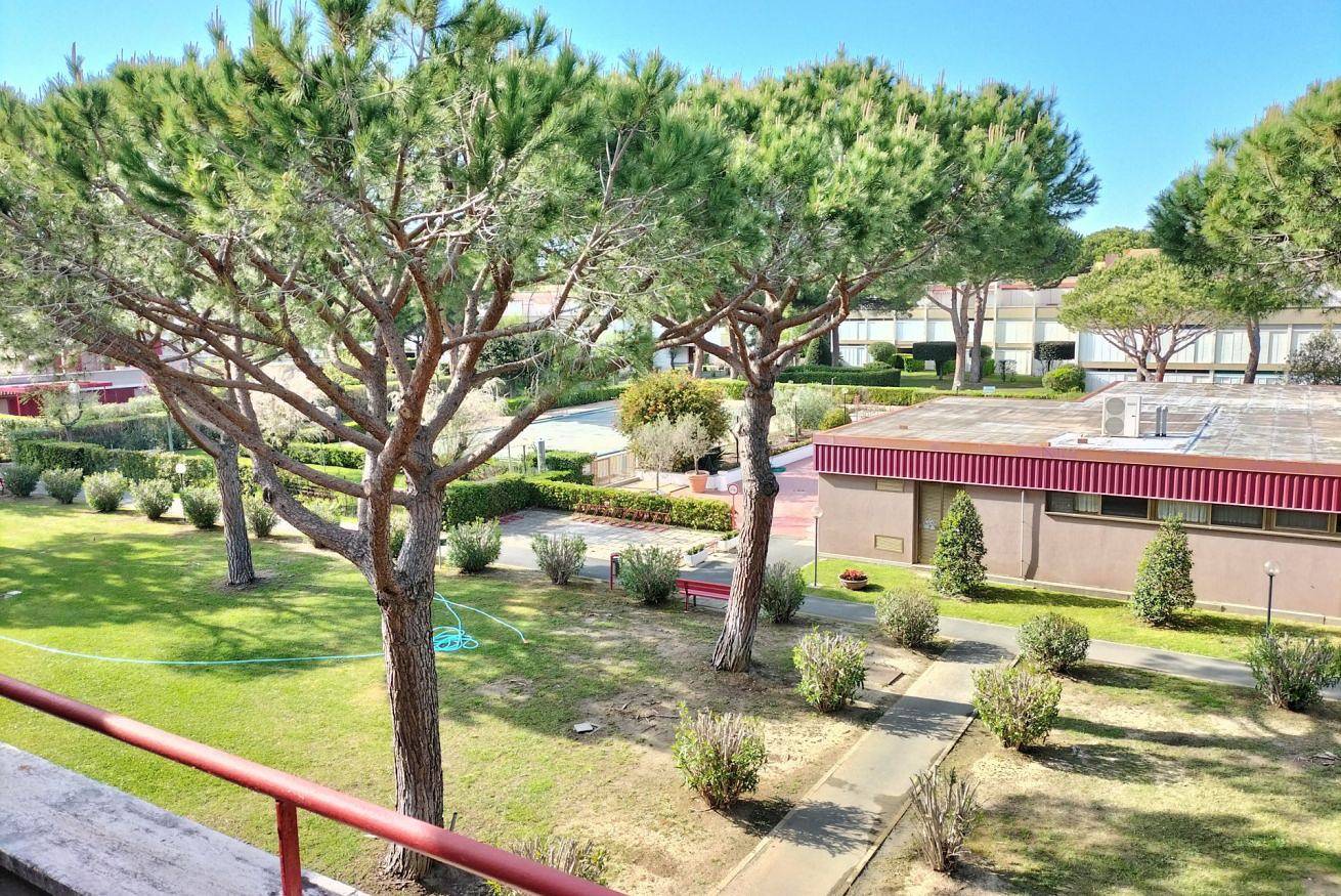 Monolocale intero, Platani Monolocale 3 letti in Marina di Bibbona, Bibbona