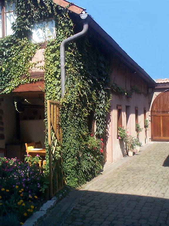 Gîte Route des Vins in Scherwiller, Région de Sélestat-Erstein
