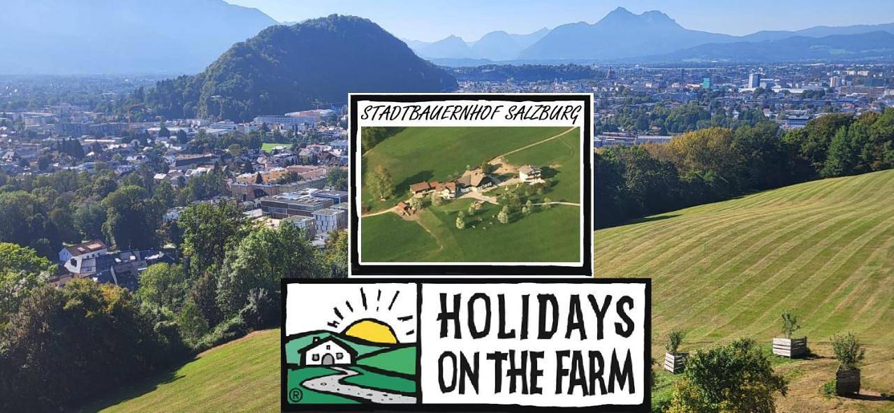 Ganze Wohnung, Stadtbauernhof Salzburg - Ferienwohnung - Gut Unterleithen - farm & the city in Salzburg, DMO Demo Region_1