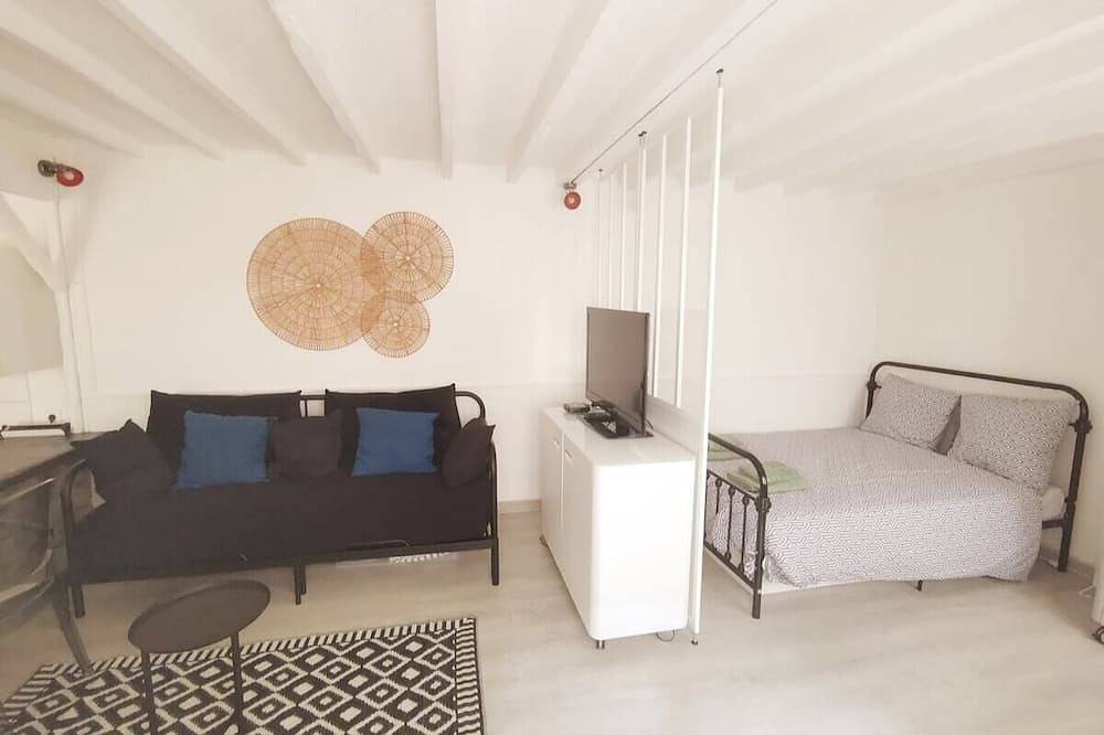 Apartamento entero, Large studio near Paris with terrace in Saint-Maurice, Valle del Marne
