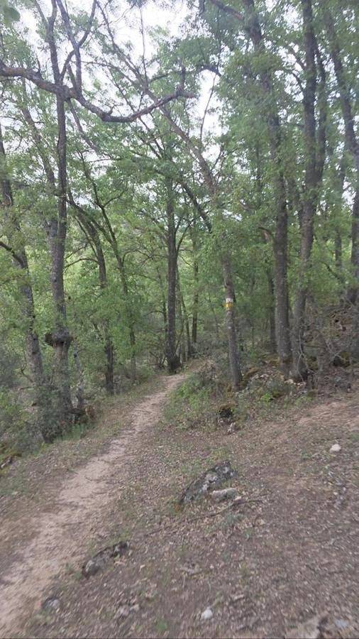 Casa de vacaciones para 12 personas, con piscina además de jardín y vistas, Se admiten mascotas en Provincia de Guadalajara - 2