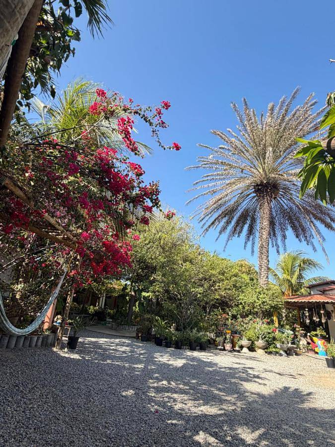Hôtel pour 3 personnes, avec terrasse et jardin à Areia Branca
