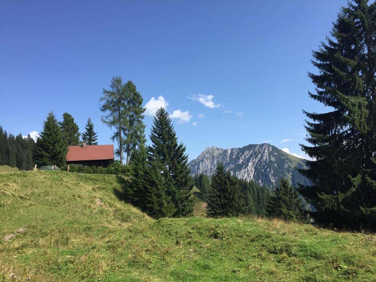 Jagdhütte Gammeringalm in Spital am Pyhrn, Kirchdorf an der Krems (Bezirk)