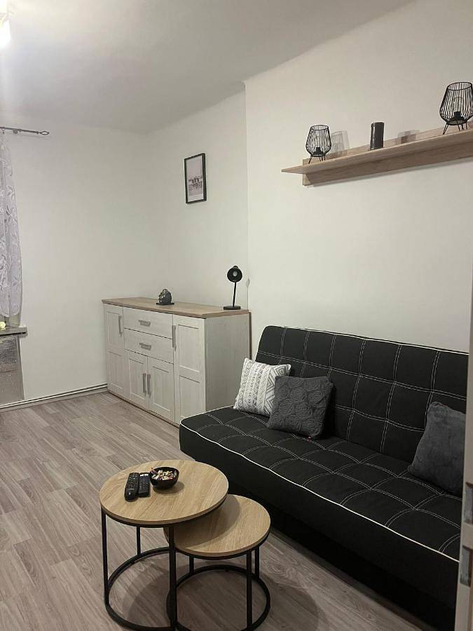 Apartament wakacyjny dla 4 osób, zwierzęta dozwolone w Zabrze