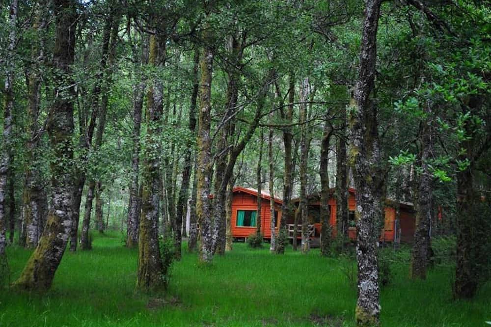 Bungalow in the middle of nature in the Peneda-Gerês National Park. in Castro Laboreiro e Lamas de Mouro, Gerês