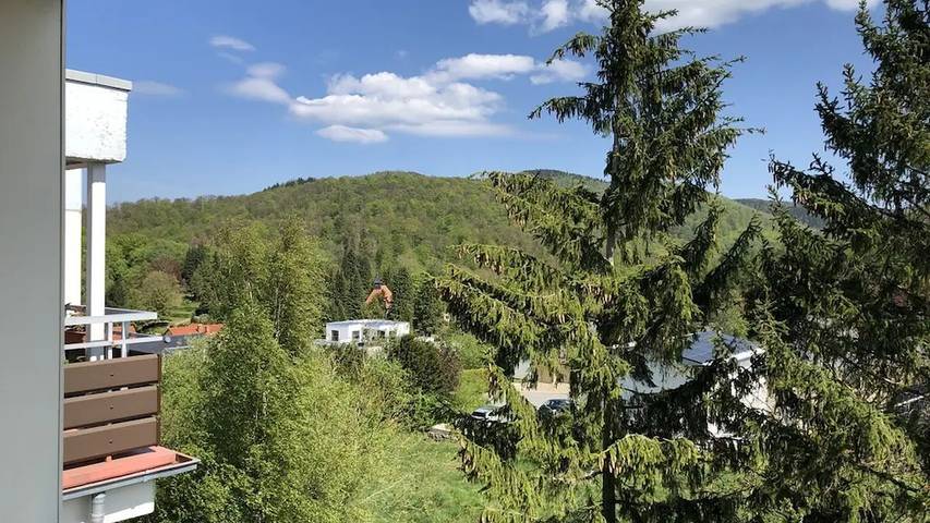 Ferienhaus für 3 Personen, mit Balkon und Pool im Harz - 4