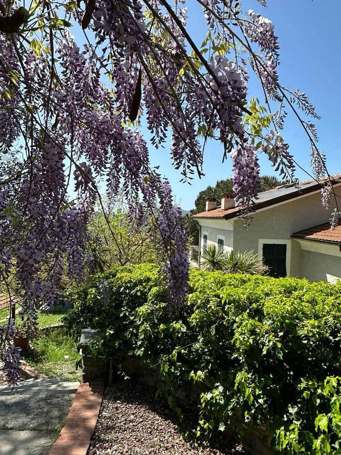 Location de vacances pour 3 personnes, avec piscine ainsi que jardin et vue à Leivi - 4