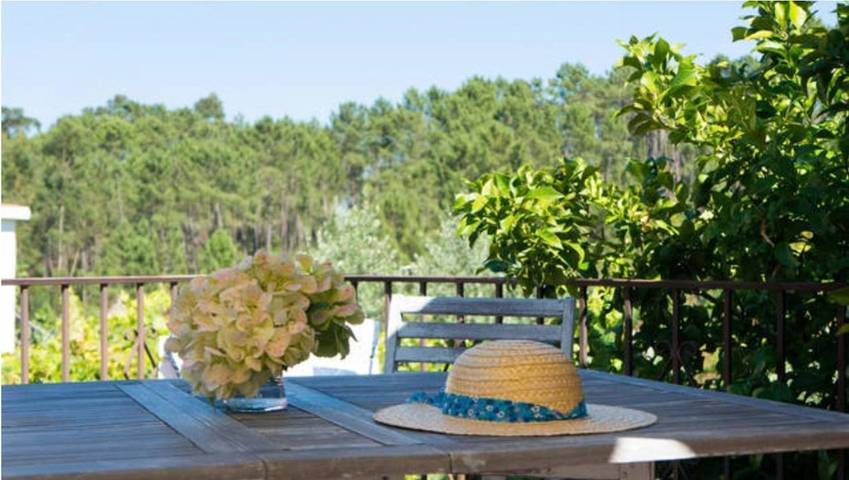 Location de vacances pour 2 personnes, avec jardin à Pedrógão Grande - 3