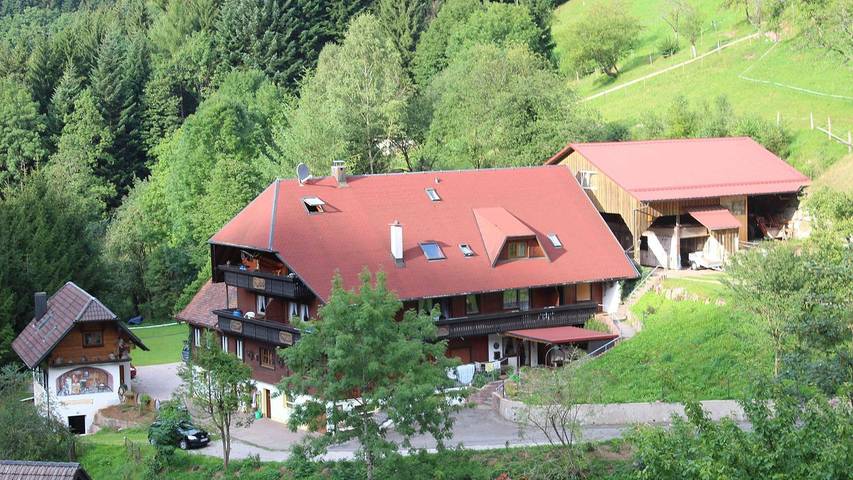 Ferienwohnung für 2 Personen, mit Garten, kinderfreundlich in Bad Peterstal-Griesbach