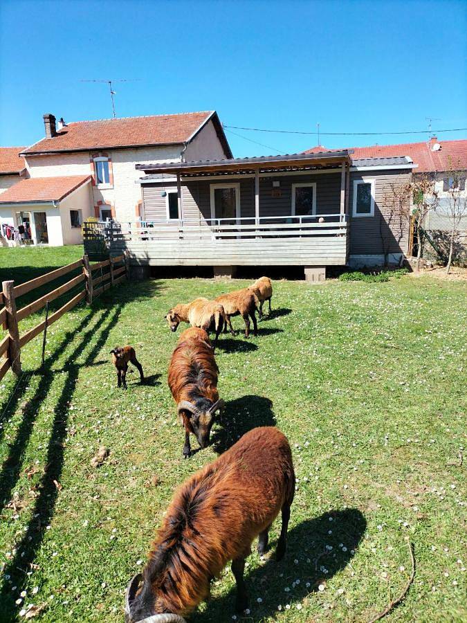 Gîte pour 4 personnes, avec terrasse et jardin, animaux acceptés dans Lacroix-sur-Meuse - 4