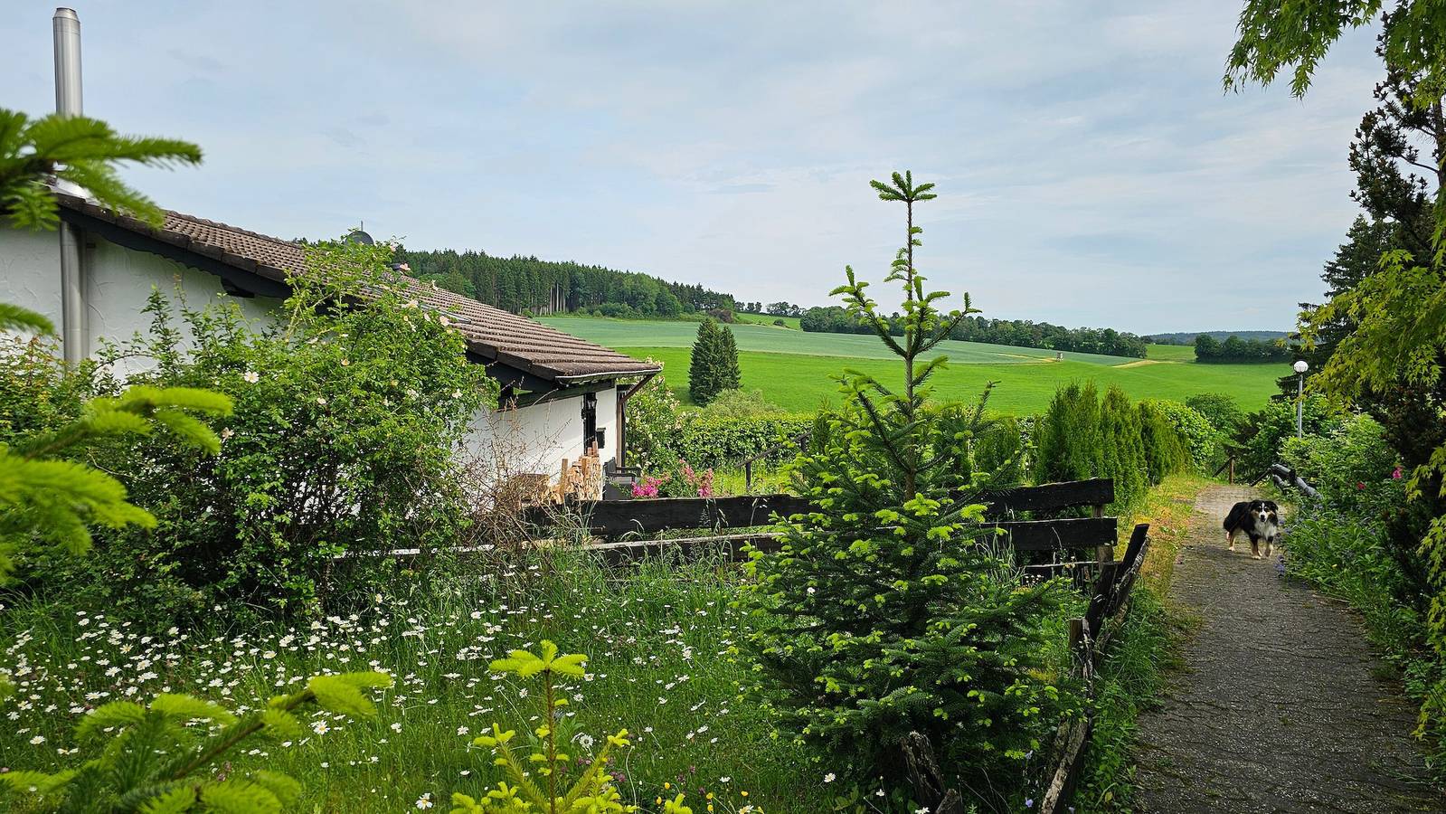 Casa Liss'i  privater Terrasse und eigenem Garten in Lissendorf, Vulkaneifel