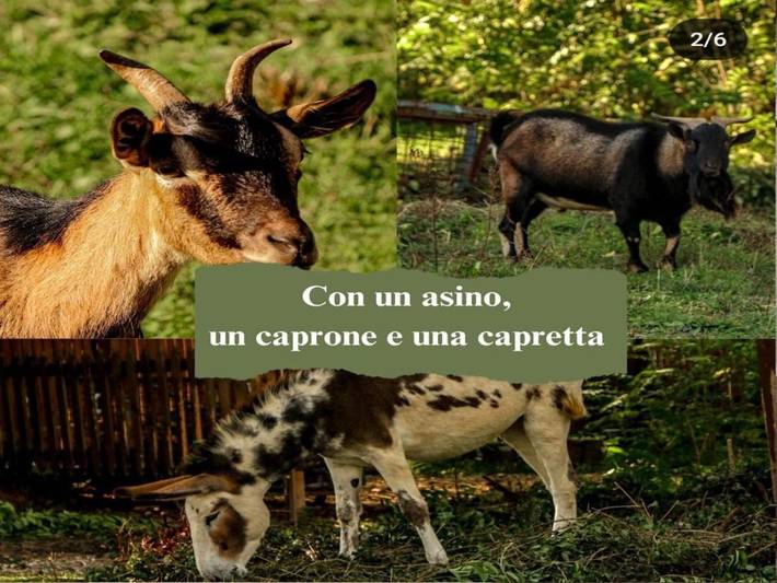 Chambre d’hôte pour 4 personnes, avec vue et jardin à Spoleto - 4