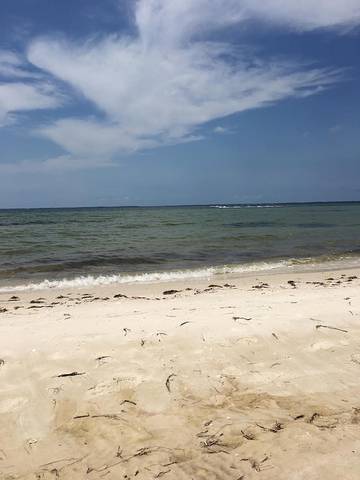 Cabin for 10 Guests in Emerald Coast, Gulf County, Picture 3