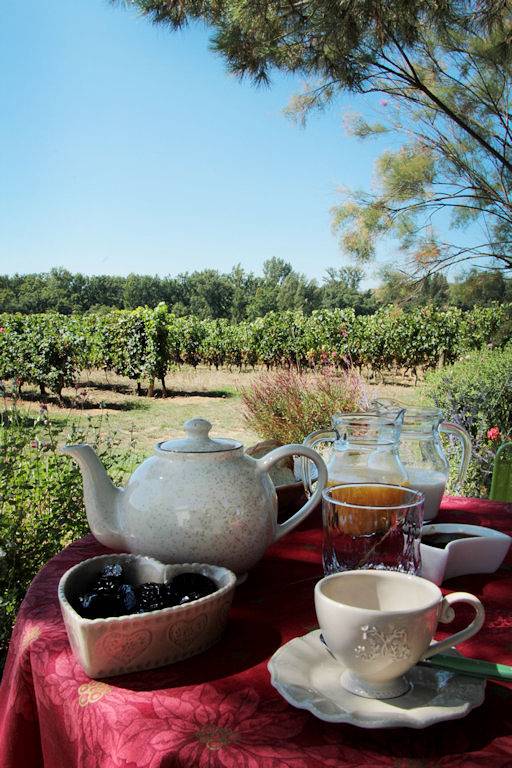 Gîte pour 10 personnes, avec jardin ainsi que piscine et terrasse à Buzet-sur-Baïse - 3