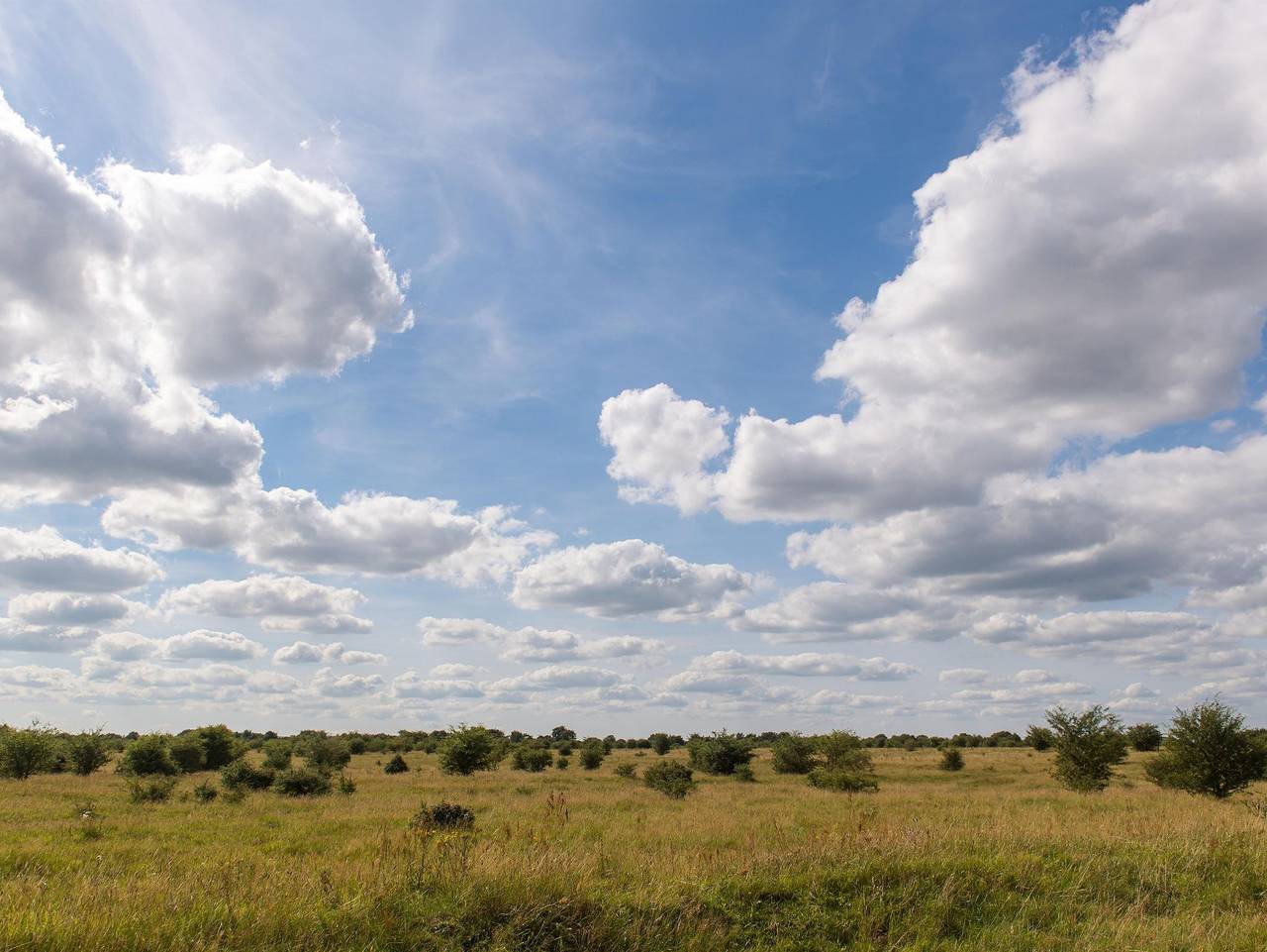 Ganze Ferienwohnung, Niehuuser Annenhof - Niehuuser Annenhof - Wohnung oben in Harrislee, Flensburger Förde