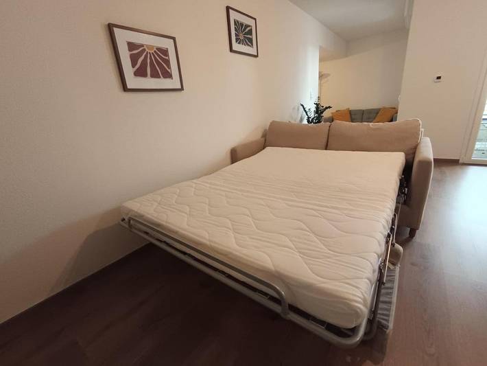 Gîte pour 6 personnes, avec balcon, animaux acceptés à Bischheim - 3