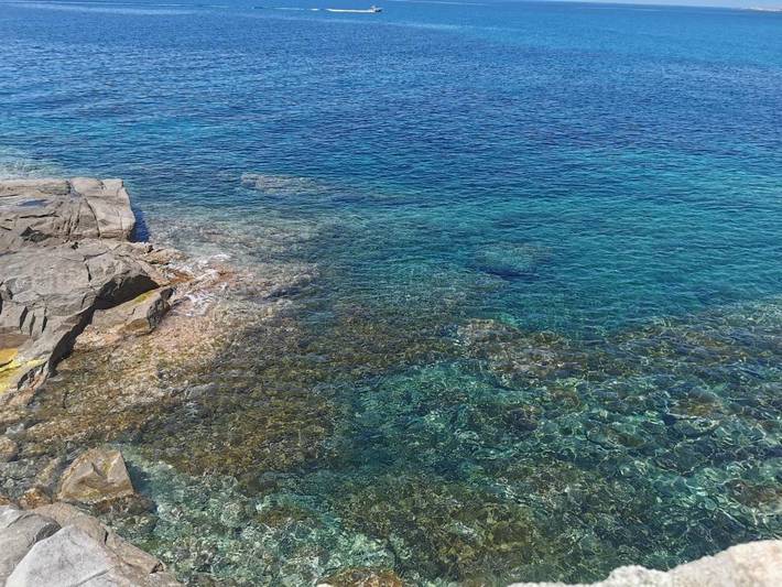 Gîte pour 6 personnes à Aregno - 4