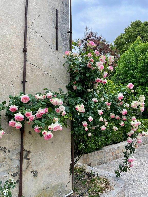 Chambres d'hôtes « Entre Cour et Jardin » - 2 chambres in Provins, Seine-et-Marne