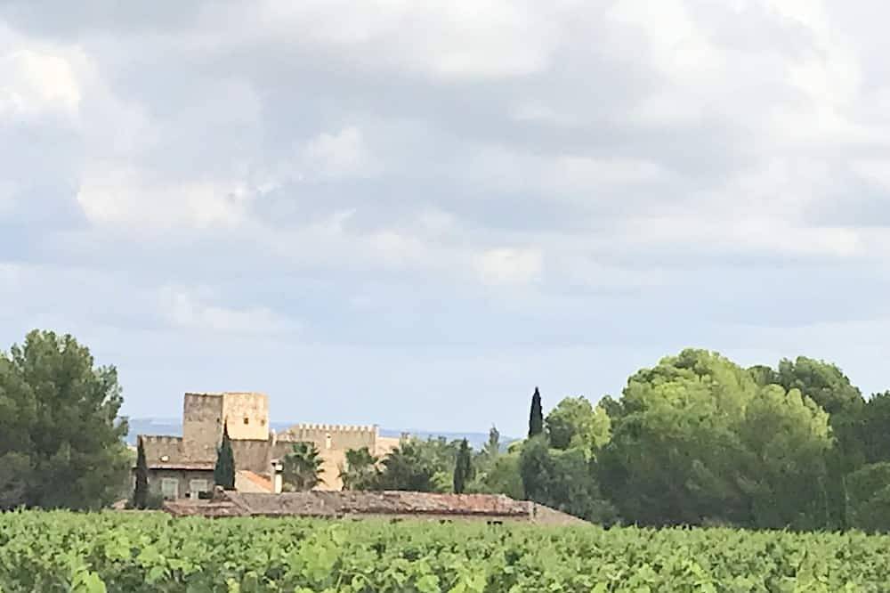 Chateau with swimming pool for 14 people in the middle of the vineyards in Cazouls-lès-Béziers, Mittelmeerküste (Frankreich)