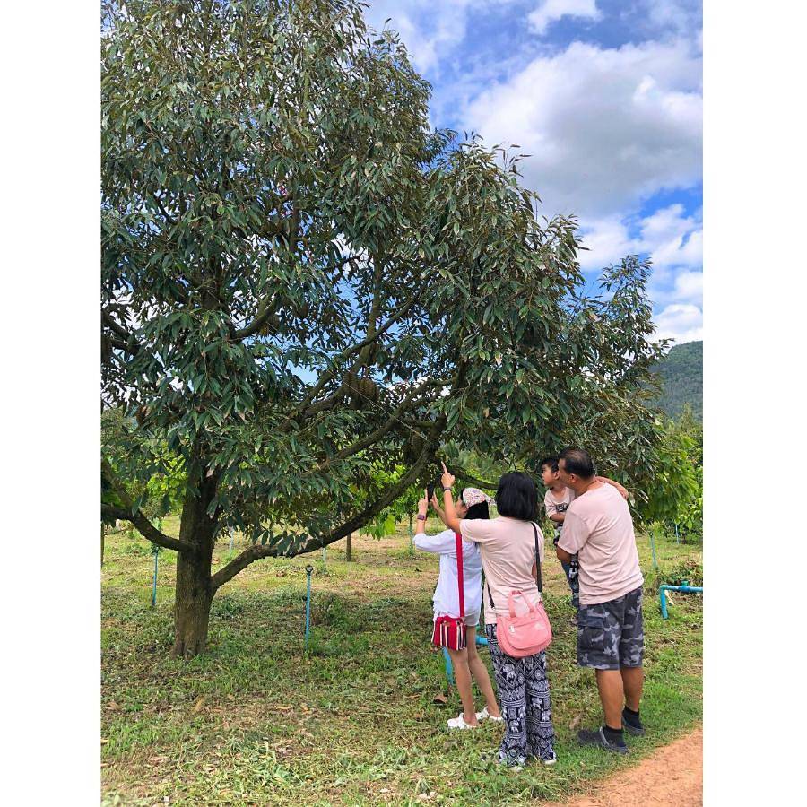 Dome Tent in Hua Hin, Prachuap Khiri Khan