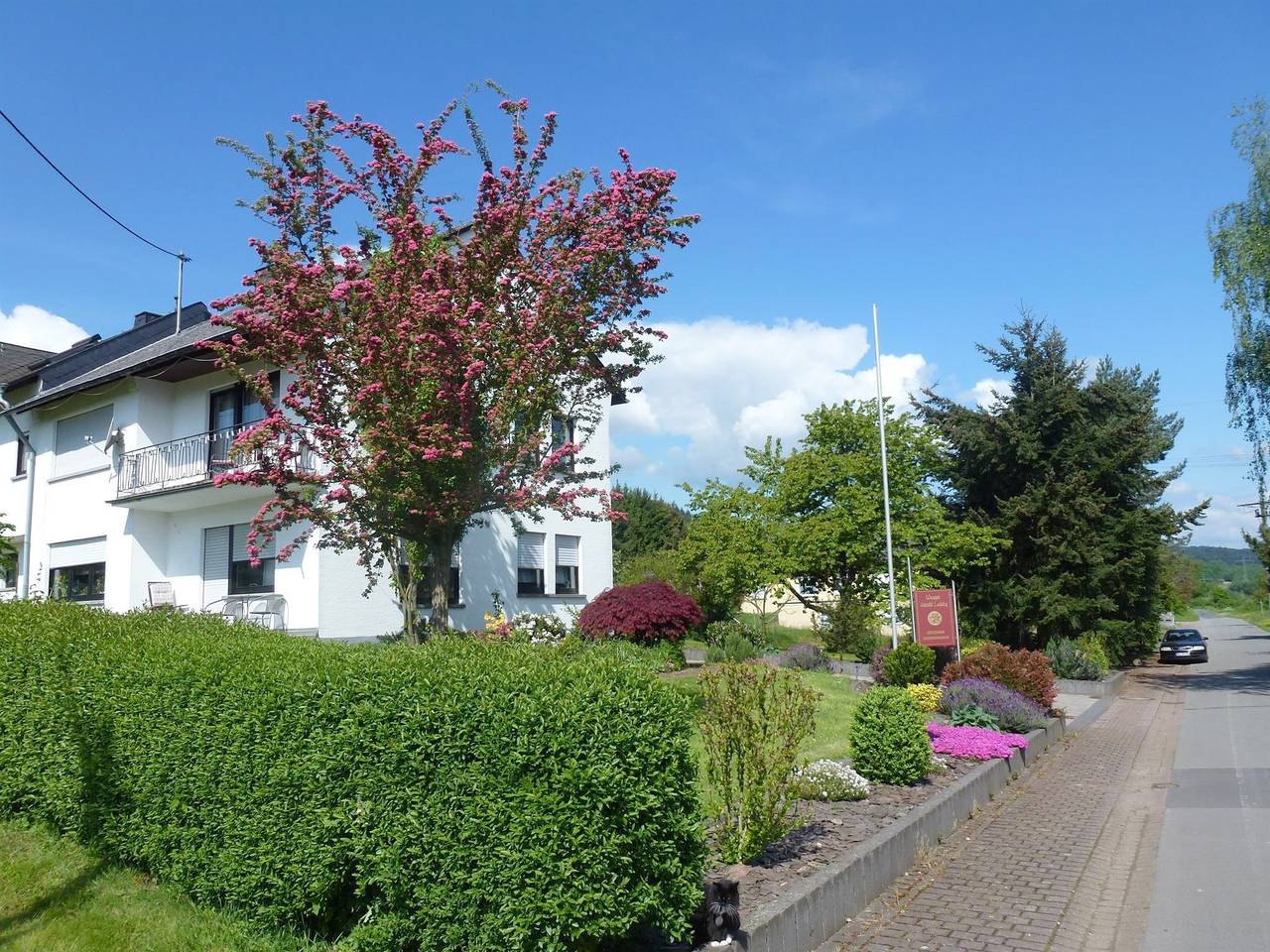 Ganze Ferienwohnung, Fewo 2 Cuvee in Osann-Monzel, Bernkastel-Kues & Umgebung