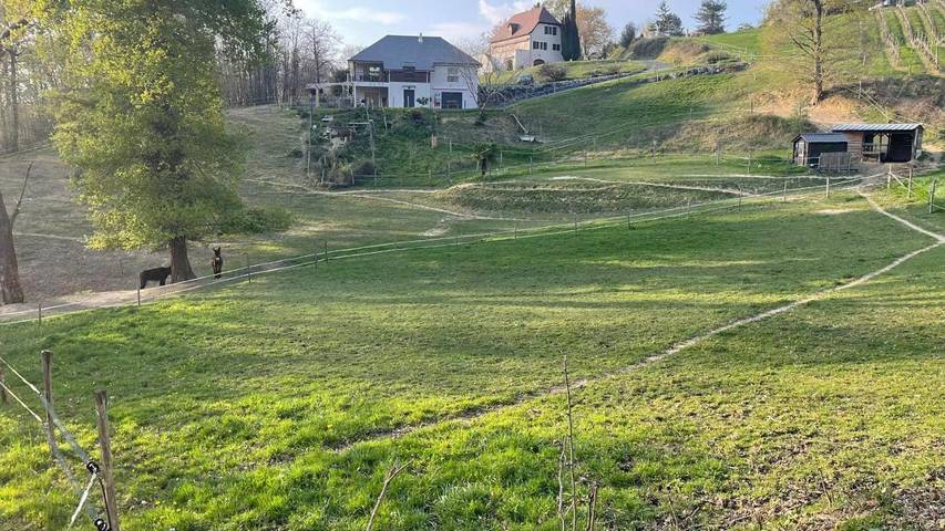 Location de vacances pour 5 personnes, avec jardin et vue, animaux acceptés à Monein