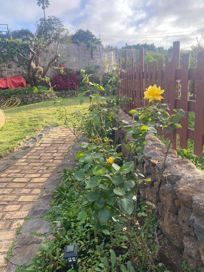 Casa rural para 3 personas, con jardín y vistas en Tacoronte - 3