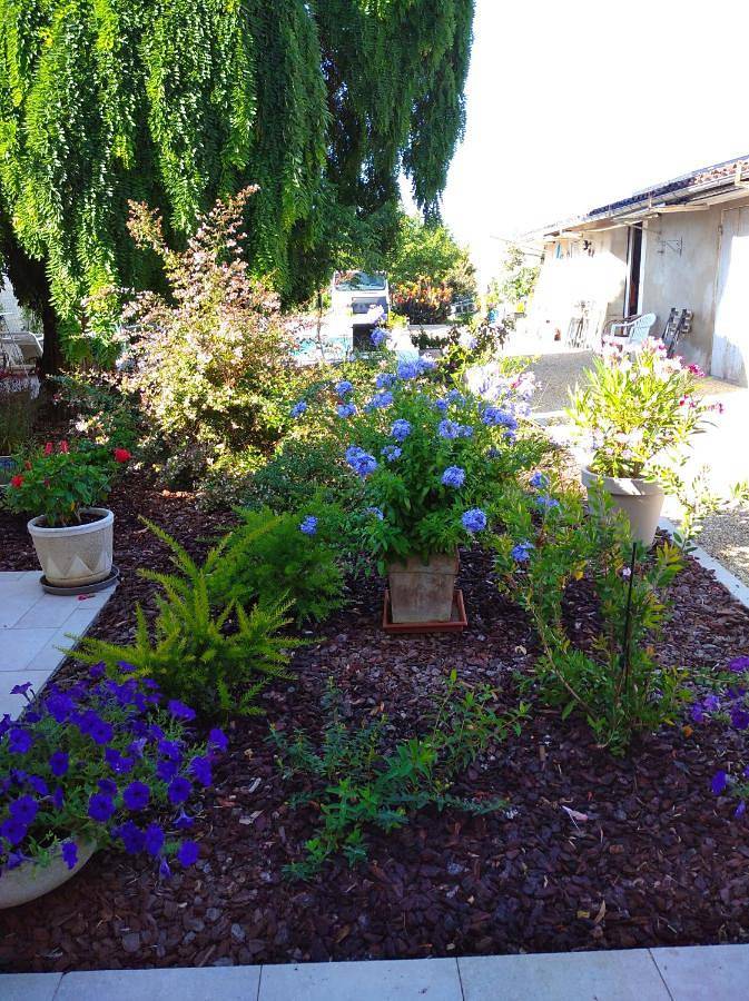 Chambre d’hôte pour 2 personnes, avec terrasse et piscine ainsi que jardin et vue à Bergerac - 3
