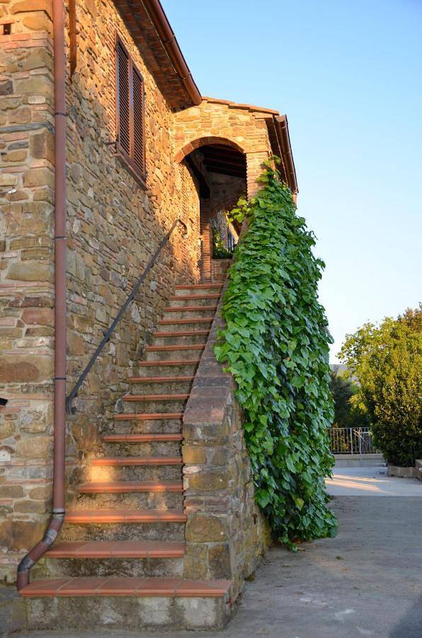 Terra Berni Poggio Ferrone in Suvereto, Etruskische Küste