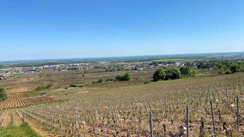 Location de vacances pour 5 personnes, avec terrasse à Brochon - 4