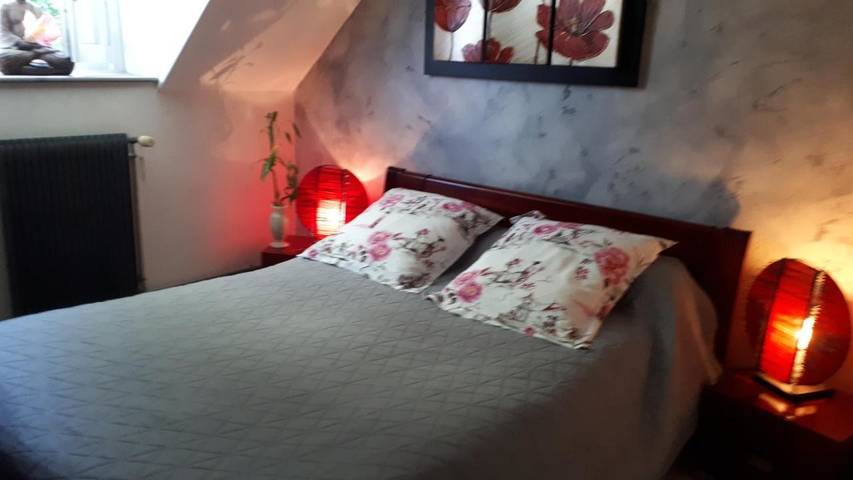 Location de vacances pour 2 personnes, avec vue ainsi que jardin et terrasse à Vignoux-sur-Barangeon - 2