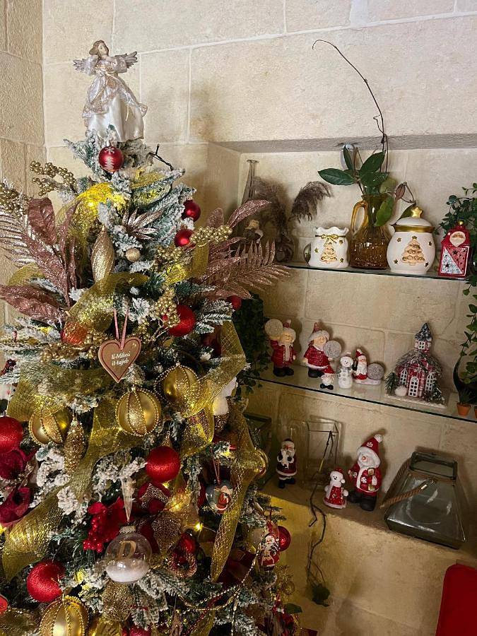 Location de vacances pour 10 personnes, avec piscine et jardin, animaux acceptés dans Sannat - 3