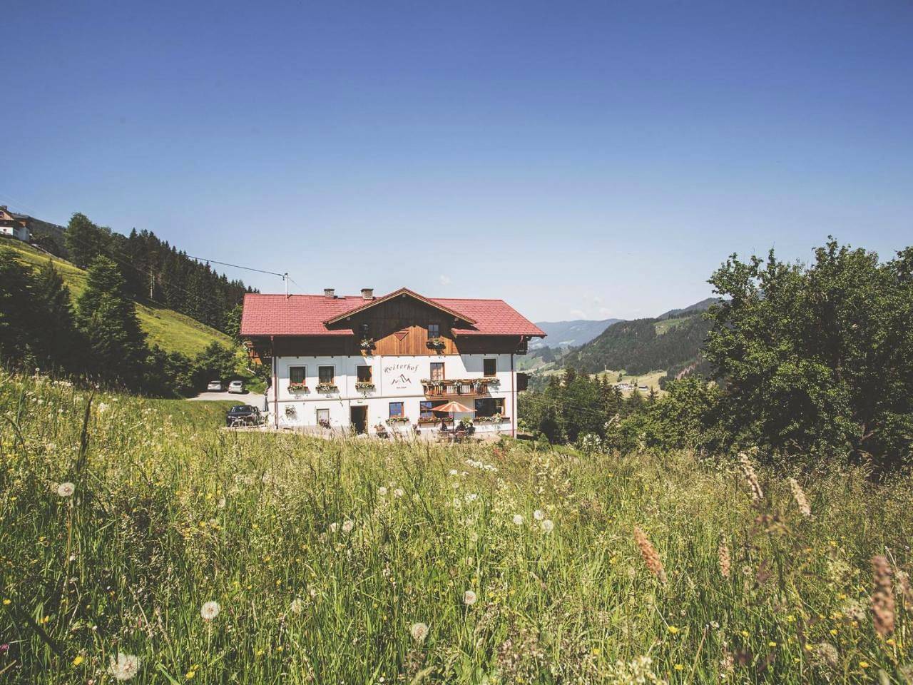 Vom Reiter in Rohrmoos, Schladming-Dachstein
