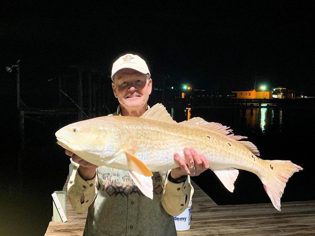 Willkommen bei Seatrout - Best Bay & Sunset Views Ever! in Brazoria County