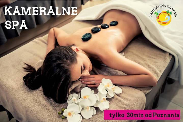 Chambre d’hôte pour 5 personnes, avec piscine et sauna ainsi que vue et jardin en Pologne - 2
