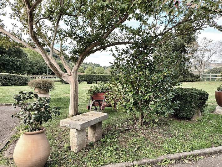 Gîte pour 4 personnes, avec terrasse, animaux acceptés en Pyrénées-Atlantiques - 4