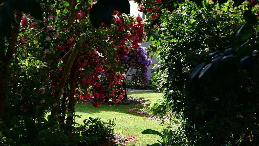 Sonnenuntergang auf Queens ~ Erstaunliche Sonnenuntergangsansichten! in Daylesford, Hepburn Shire