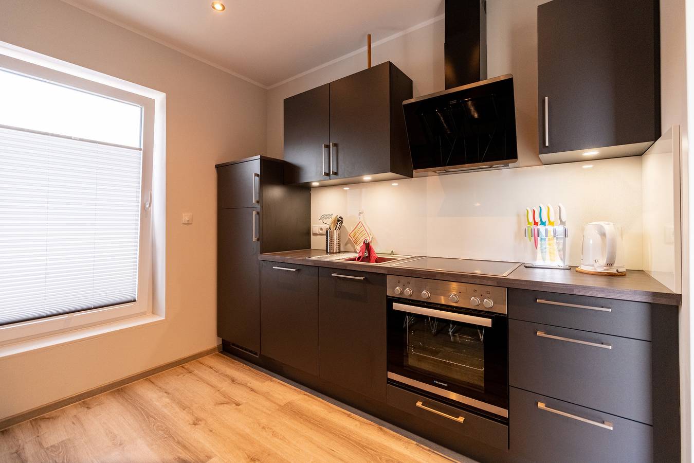 Ganze Ferienwohnung, Haushälfte rechts in Rhede (Ems), Emsland