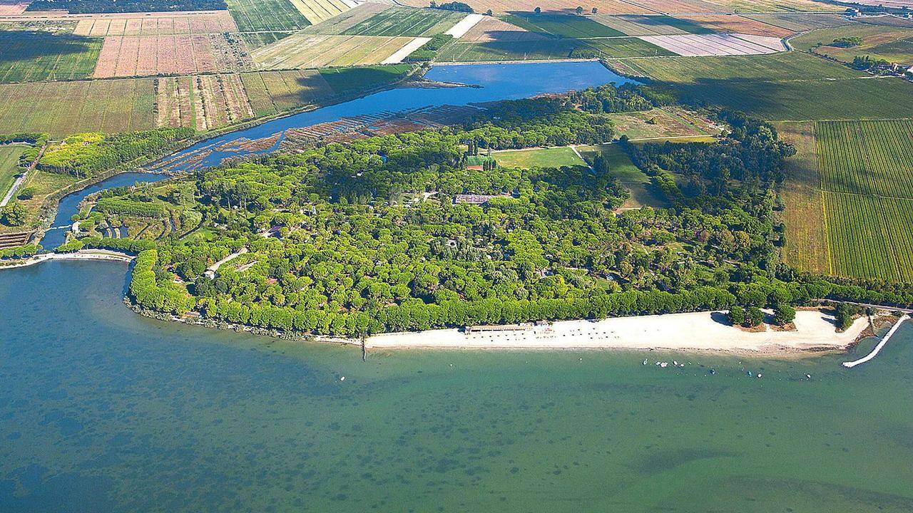 Bungalow für 6 Personen (45 m²) in Aquileia in Aquilea (Italia), Provincia d'Udine