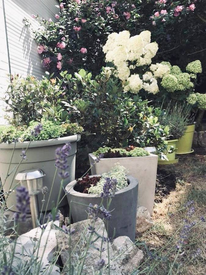 Chambre d’hôte pour 4 personnes, avec jardin à Douai - 4