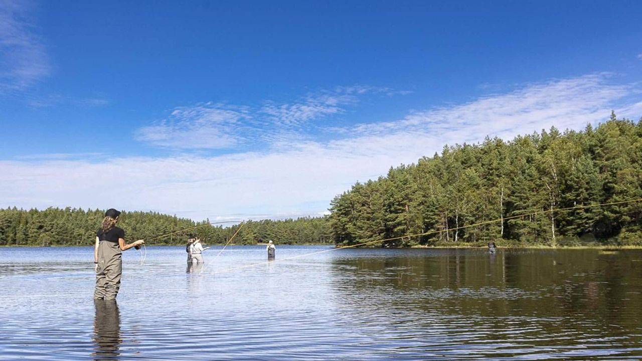 Ferienhaus für 5 Personen (60 m²) in Lidsjöberg in Strömsund, Jämtland