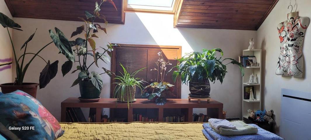 Chambre d’hôte pour 2 personnes, avec vue et terrasse à Laguépie - 3