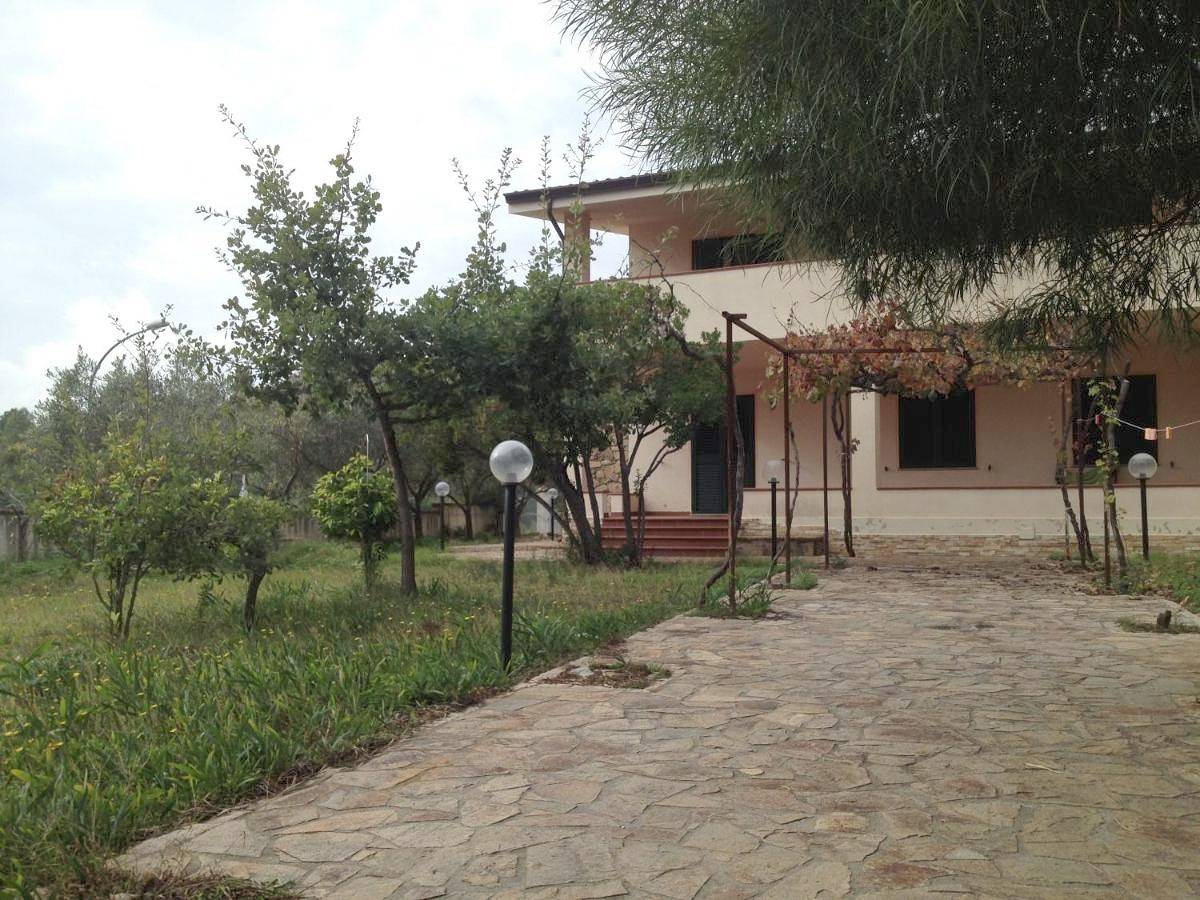 Azalee P2228 in S'ena E Sa Chitta, Siniscola