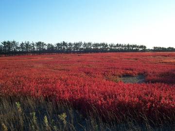 Lake House for 2 Guests in Maine, USA, Picture 4