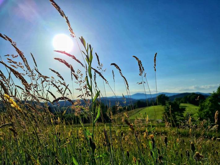Ferienhaus für 6 Personen, mit Terrasse und Garten in Sankt Oswald-Riedlhütte - 3
