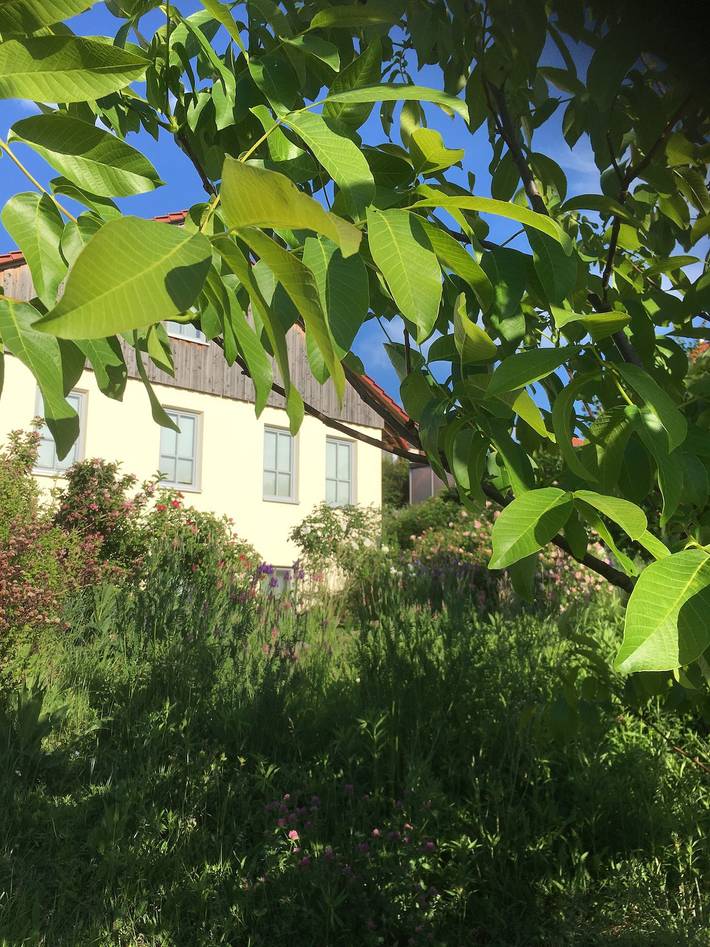 Ferienwohnung für 3 Personen, mit Garten in Fränkisches Weinland - 3